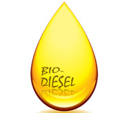 biodiesel2.jpg